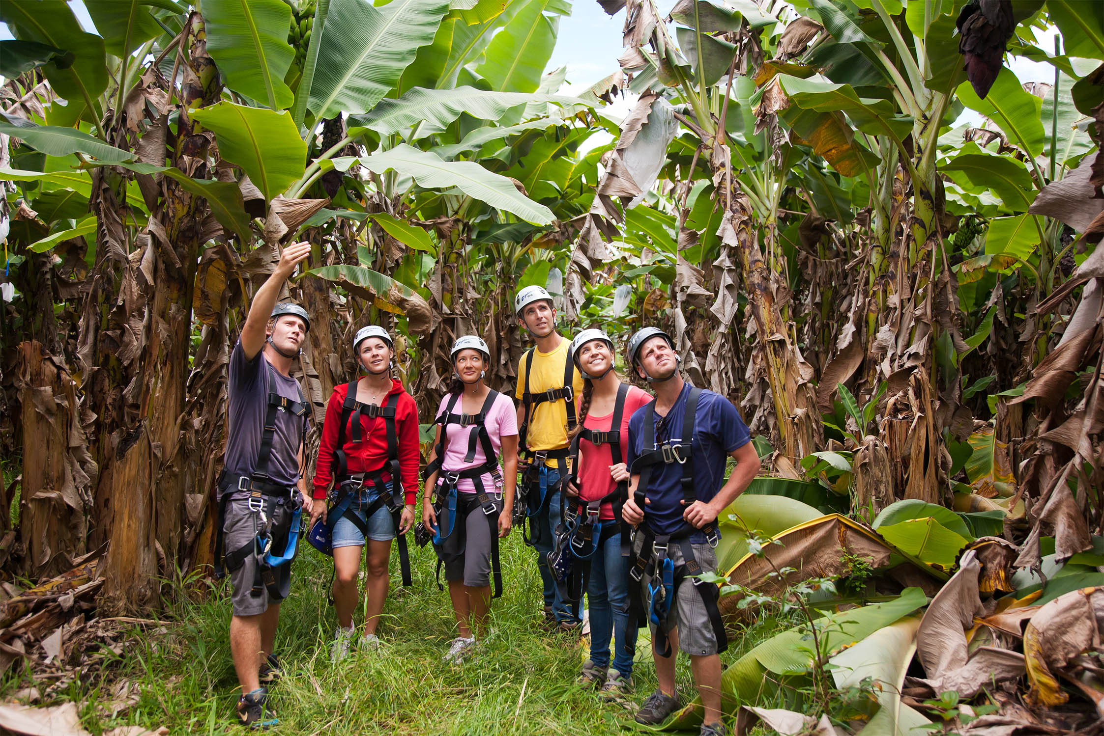 your test heart age Island Falls, Skyline  Eco Akaka   Big Zipline Hawaii